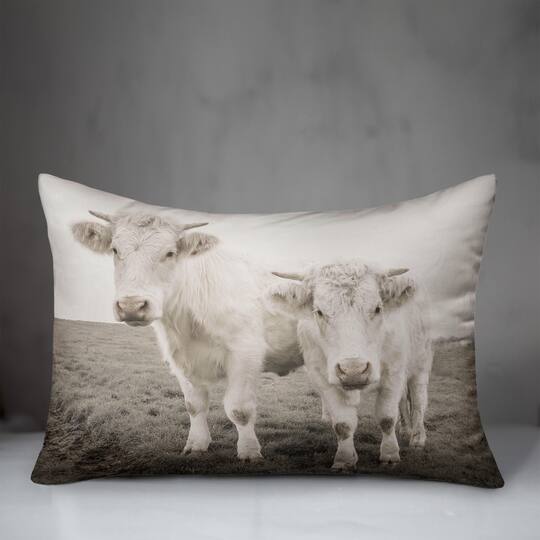 Cow Photograph Indoor/Outdoor Pillow